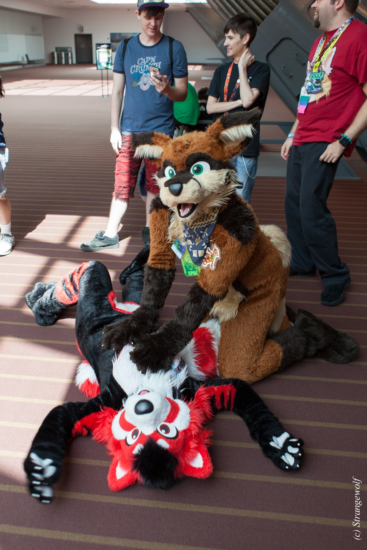 full image IMG_4084-lr19t.jpg