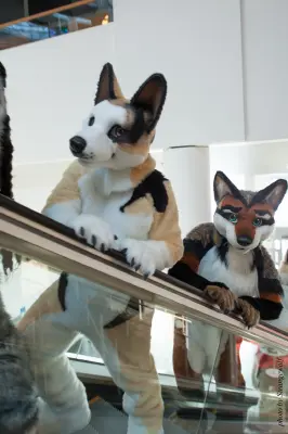 IMG_0401-lr19t.jpg of NFC/NFC2018/OFA-Shoot/