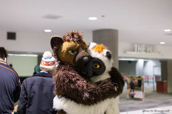 IMG_1145-lr16t.jpg of FC/FC2017/