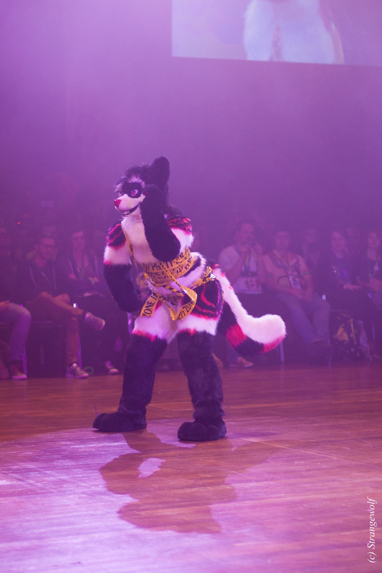 full image IMG_6579-lr19t.jpg