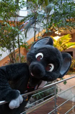 IMG_2149-lr16t.jpg of NFC/NFC2017/