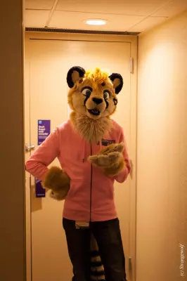 Next album: MFF2018