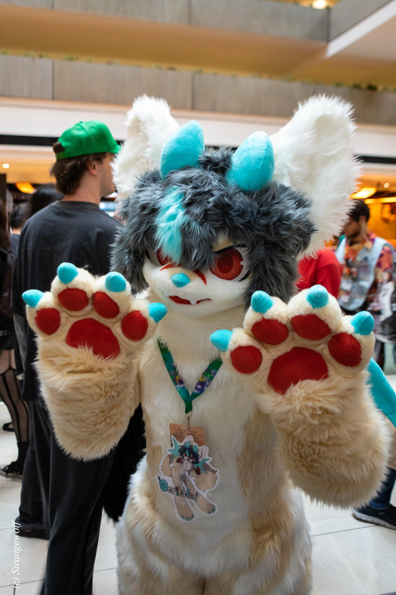 full image 1R3A0179-lr19t.jpg