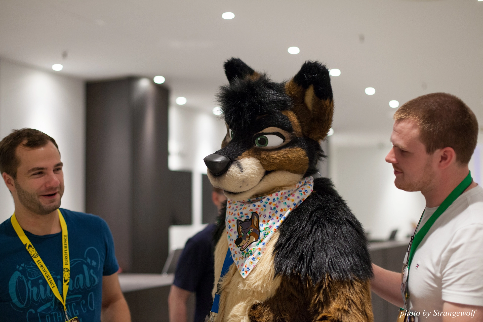 full image IMG_6306-lr19t.jpg