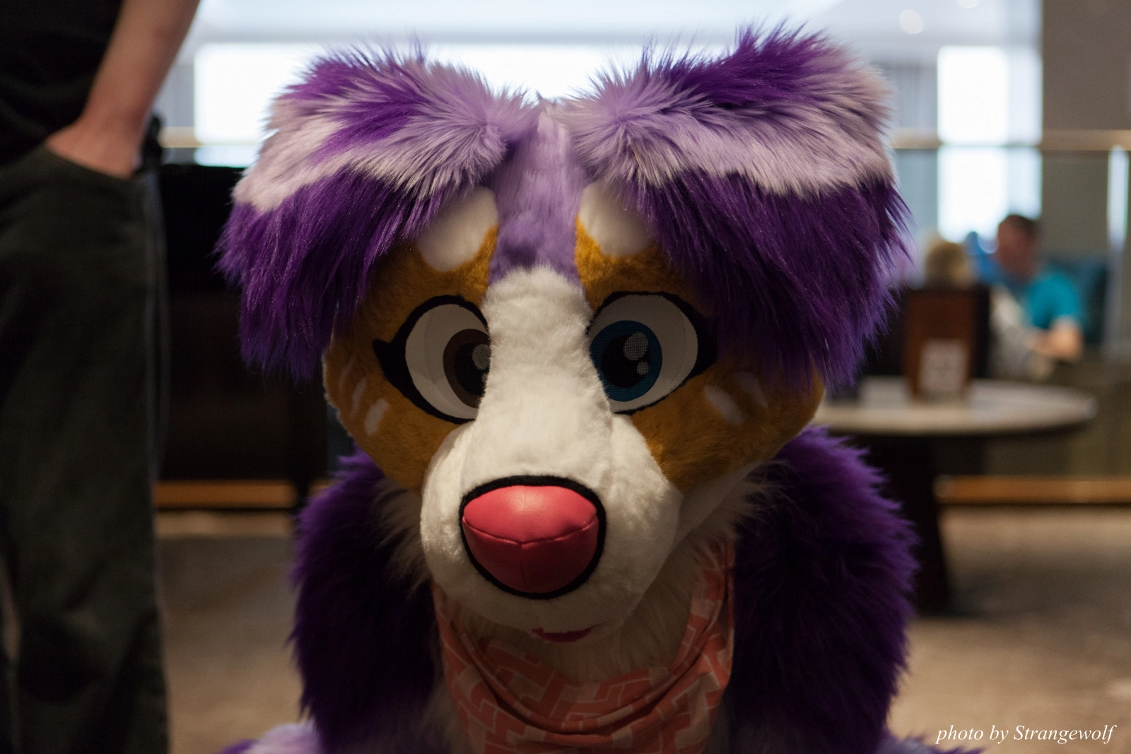 full image IMG_7465-lr16t.jpg