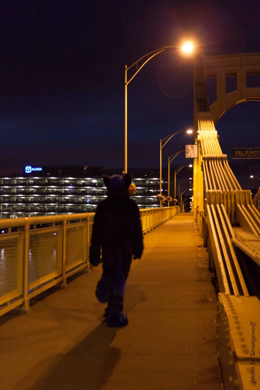 full image IMG_8453-lr16t.jpg