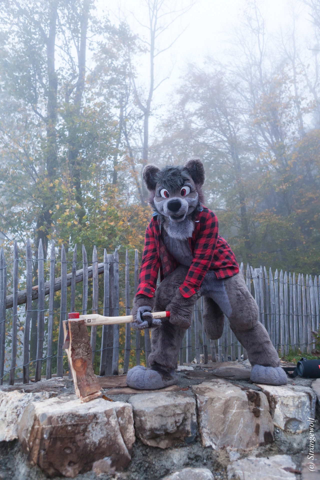 full image IMG_7086-lr19t.jpg