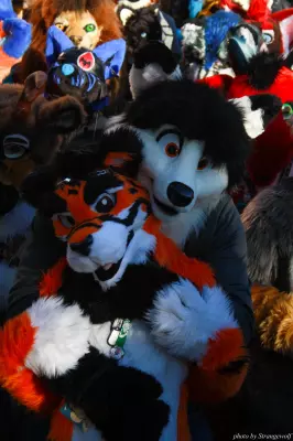 IMG_0683-lr.jpg of MFF/MFF2013/