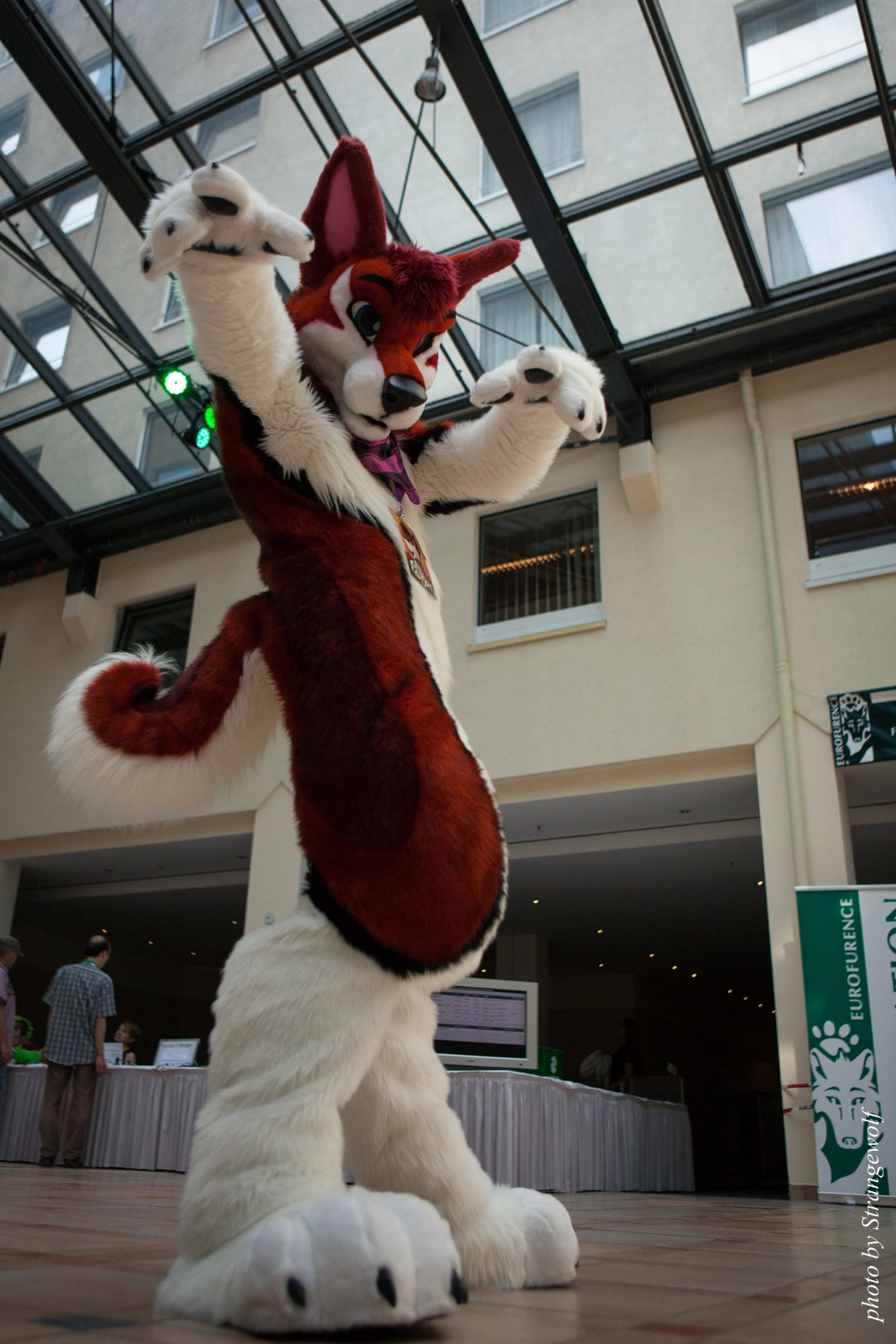 full image IMG_2035-lr16t.jpg
