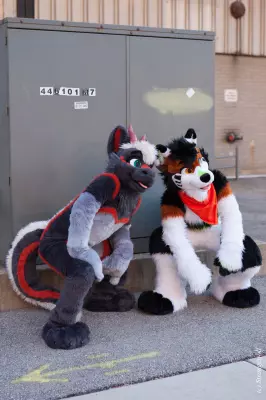 IMG_0970-lr.jpg of MFF/MFF2021/