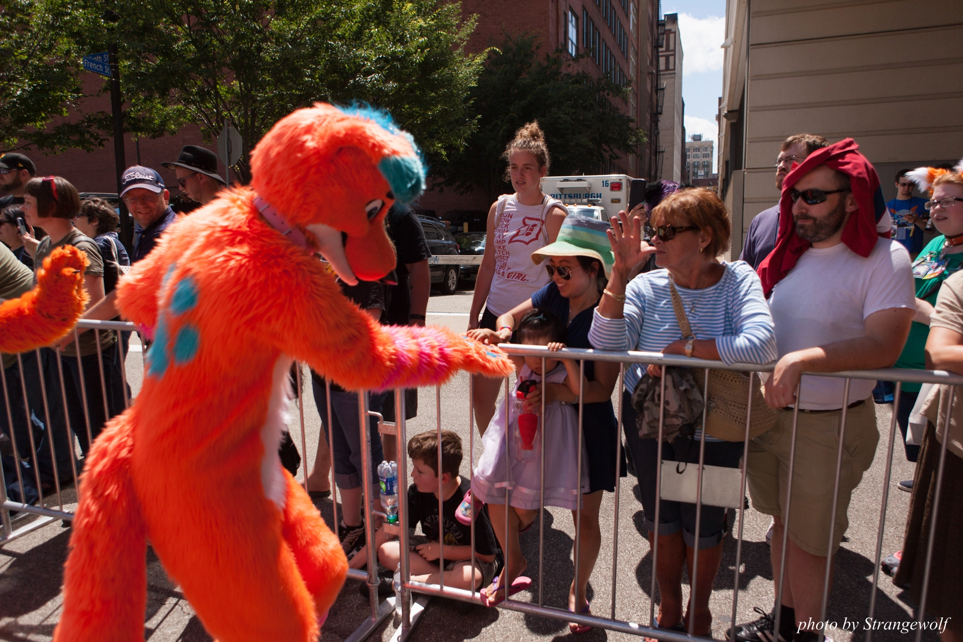 full image IMG_4564-lr19t.jpg