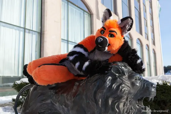 IMG_0095-lr19t.jpg of NFC/NFC2018/