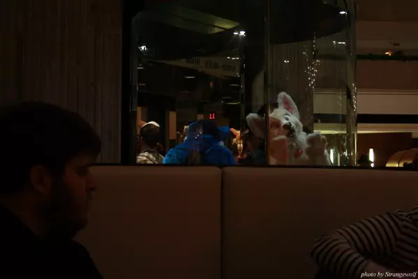 IMG_0370-lr.jpg of MFF/MFF2013/