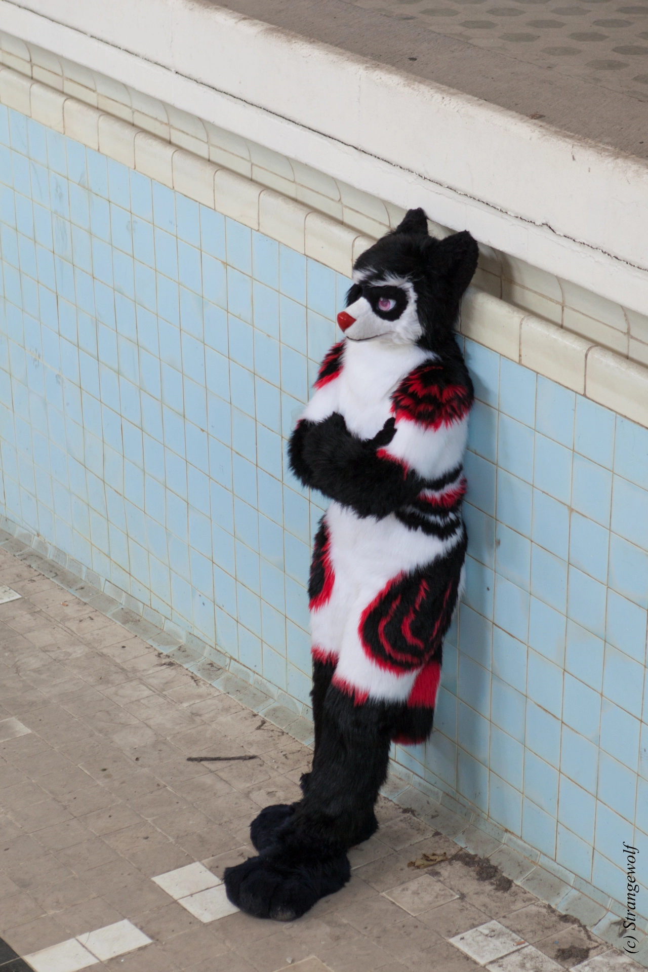full image IMG_6096-lr19t.jpg