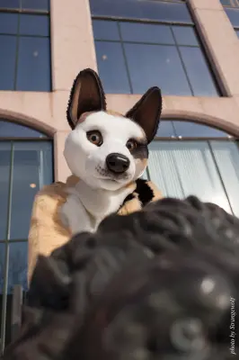 IMG_9575-lr19t.jpg of NFC/NFC2018/