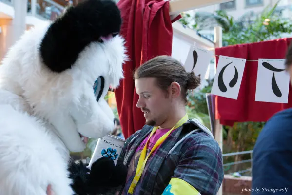 IMG_2090-lr16t.jpg of NFC/NFC2017/