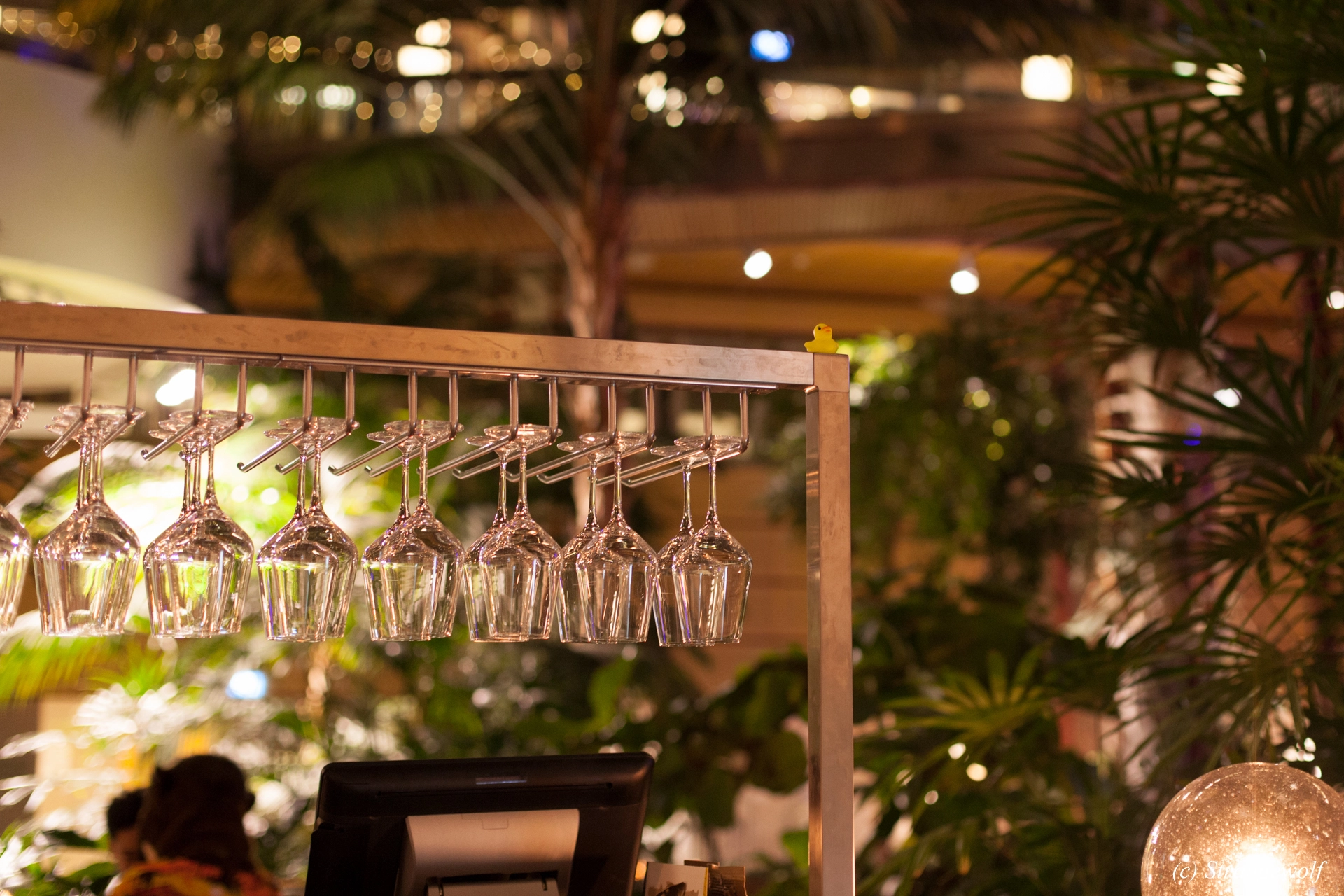 full image IMG_9071-lr19t.jpg