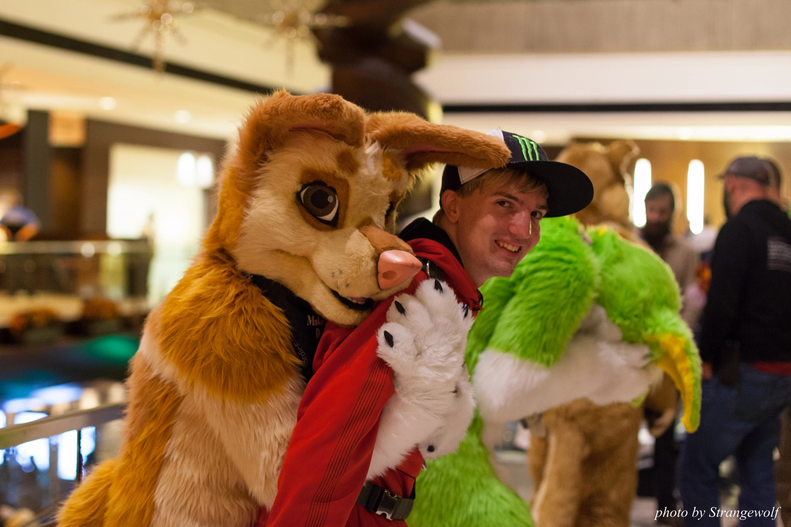 full image IMG_4209-lr16t.jpg