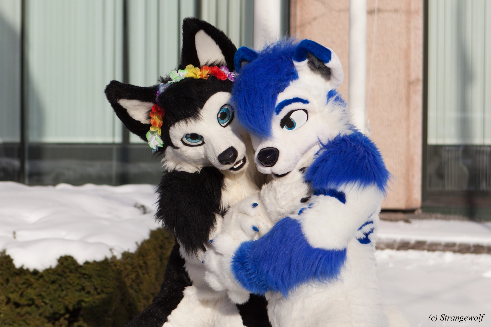 full image IMG_9875-lr19t.jpg