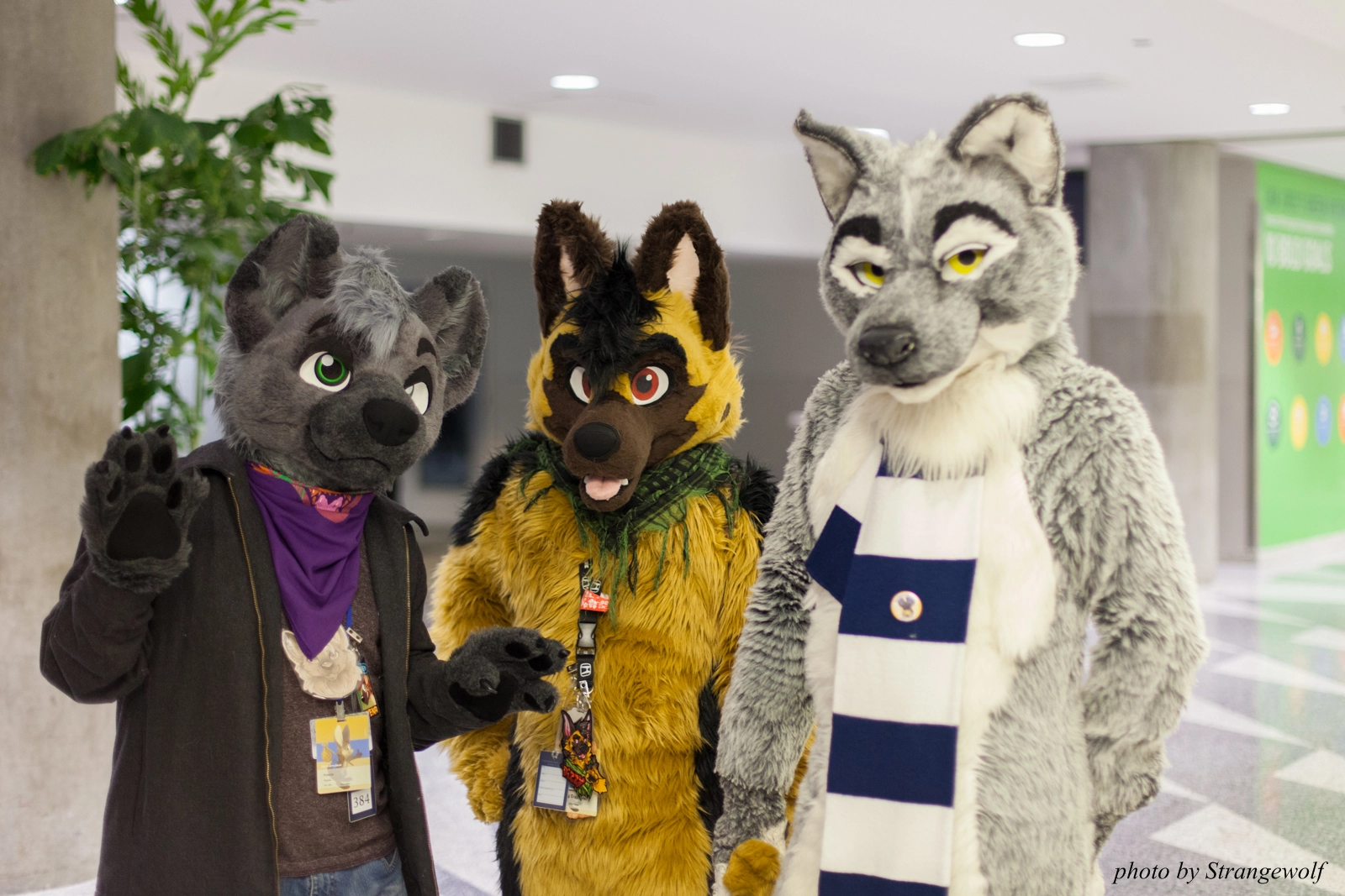 full image IMG_1254-lr16t.jpg