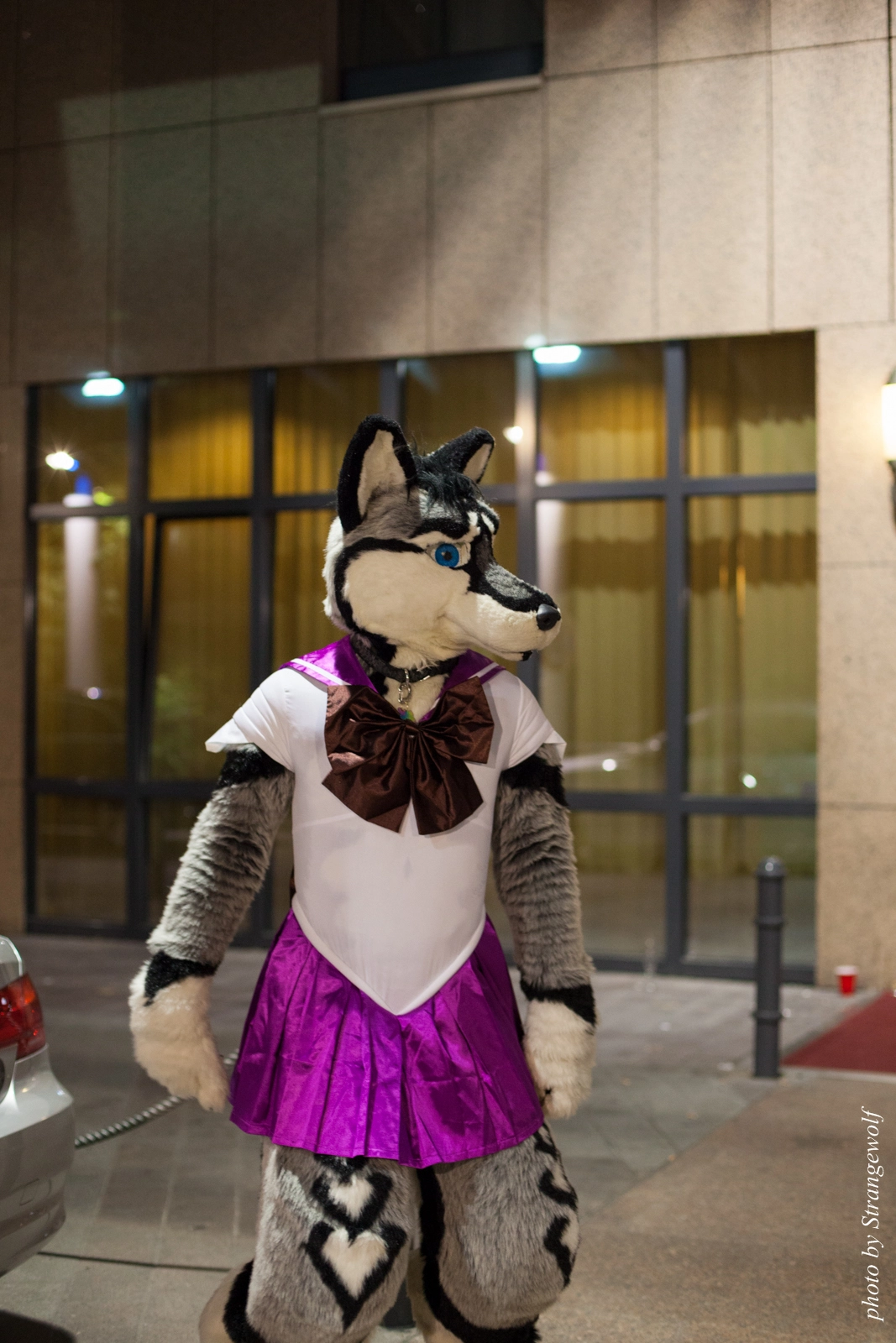 full image IMG_2004-lr16t.jpg