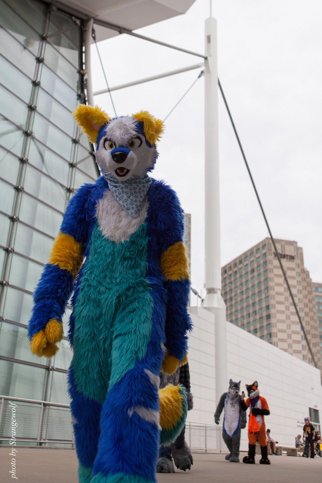 full image IMG_8222-lr16t.jpg