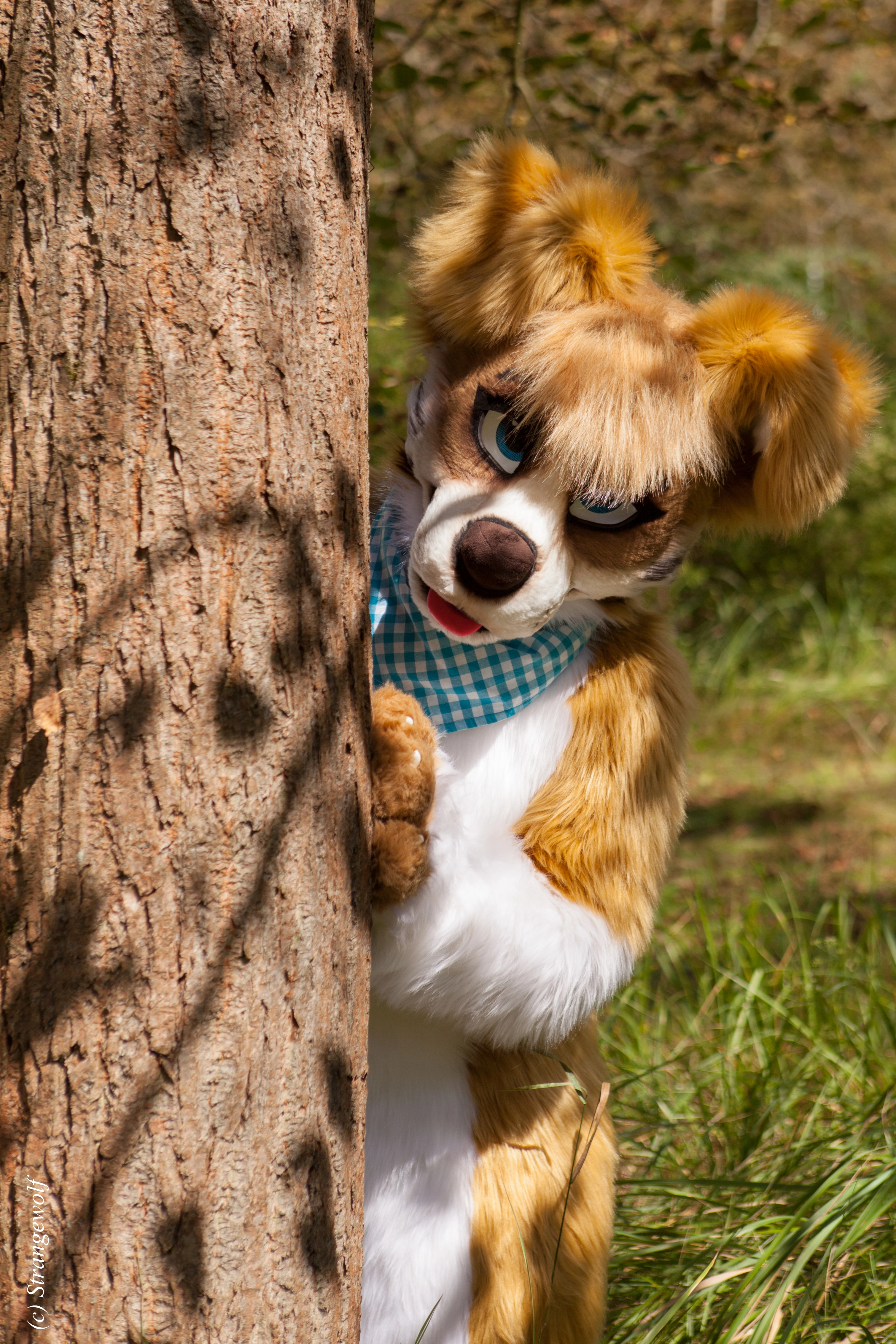 full image IMG_6199-lr.jpg