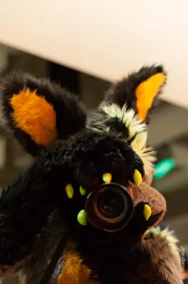 IMG_1091-lr19t.jpg of MFF/MFF2021/