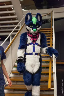 IMG_1913-lr16t.jpg of NFC/NFC2017/