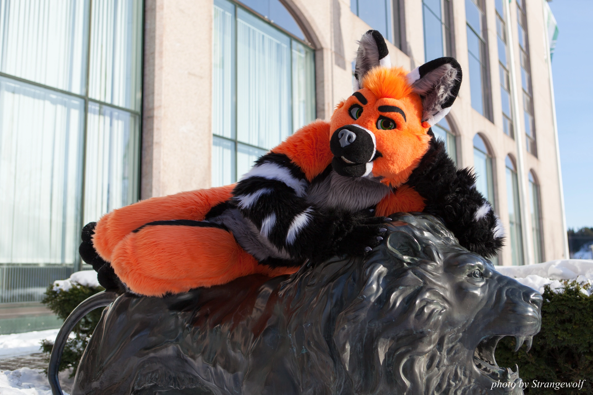 full image IMG_0095-lr19t.jpg