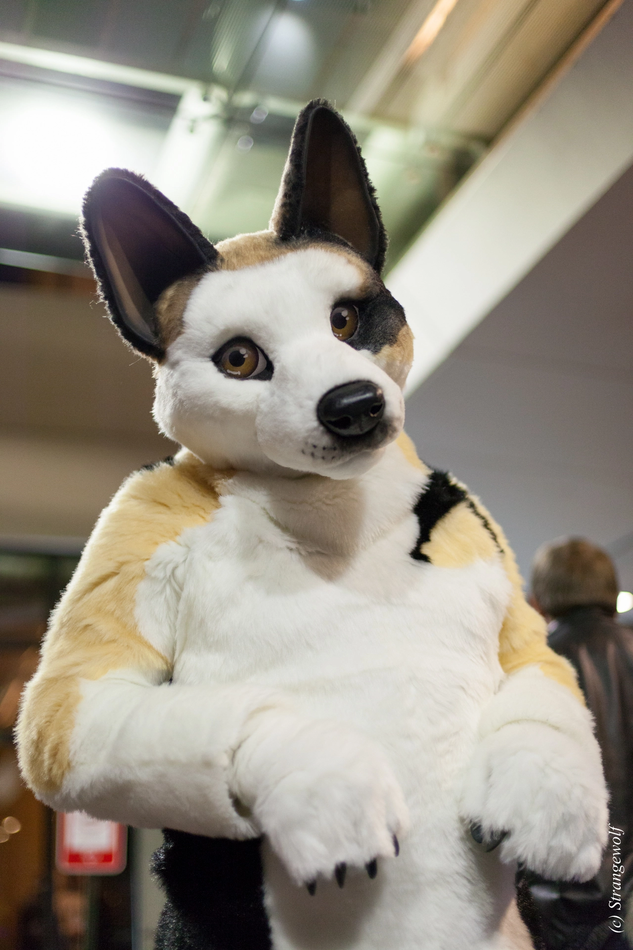 full image IMG_8106-lr19t.jpg