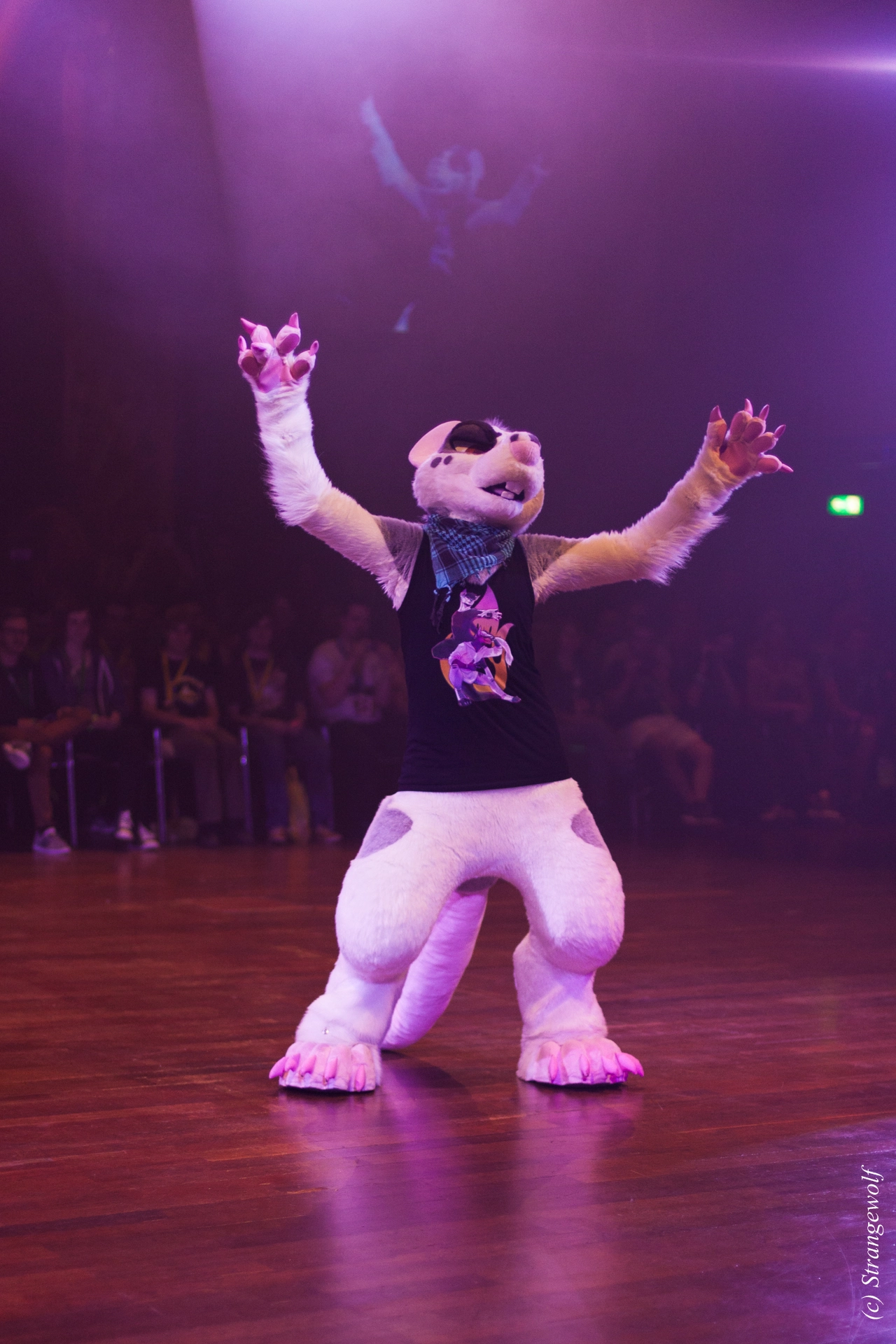 full image IMG_6369-lr19t.jpg