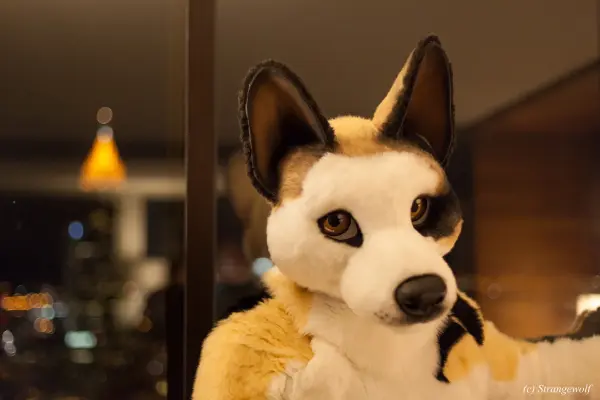 IMG_2108-lr19t.jpg of FWA/FWA2018/