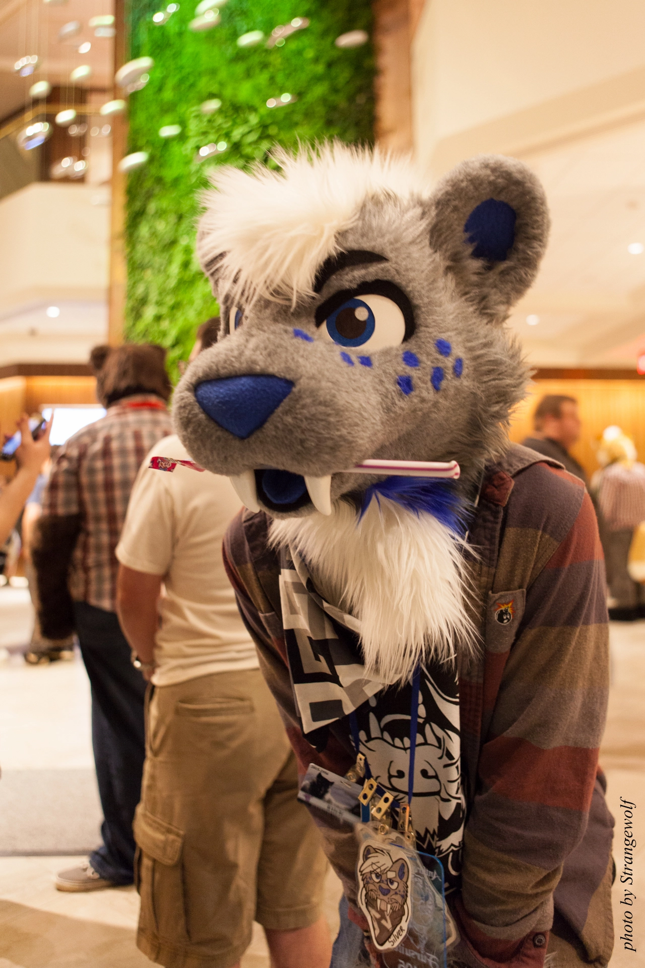 full image IMG_9872-lr19t.jpg