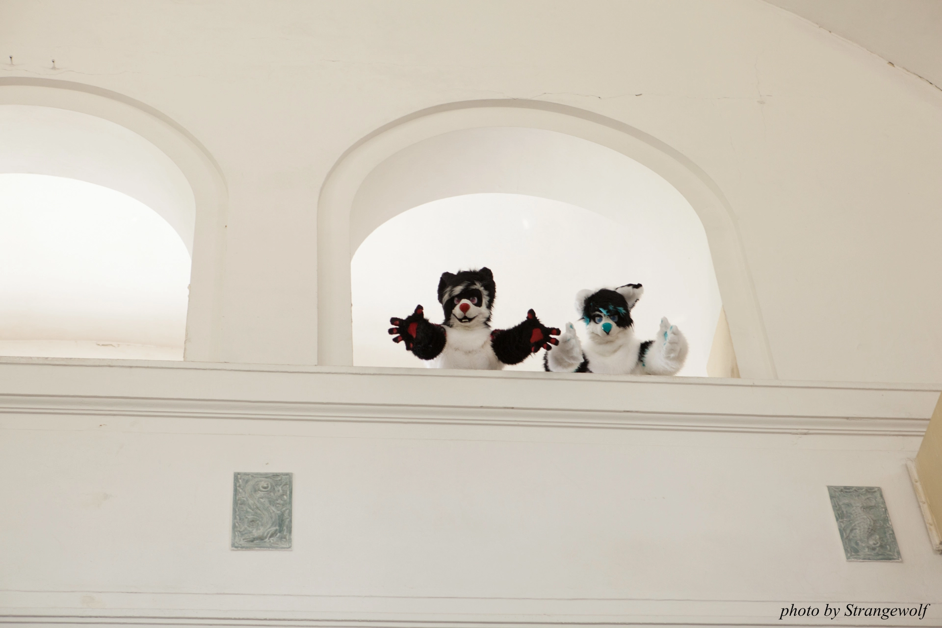 full image IMG_6051-lr19t.jpg