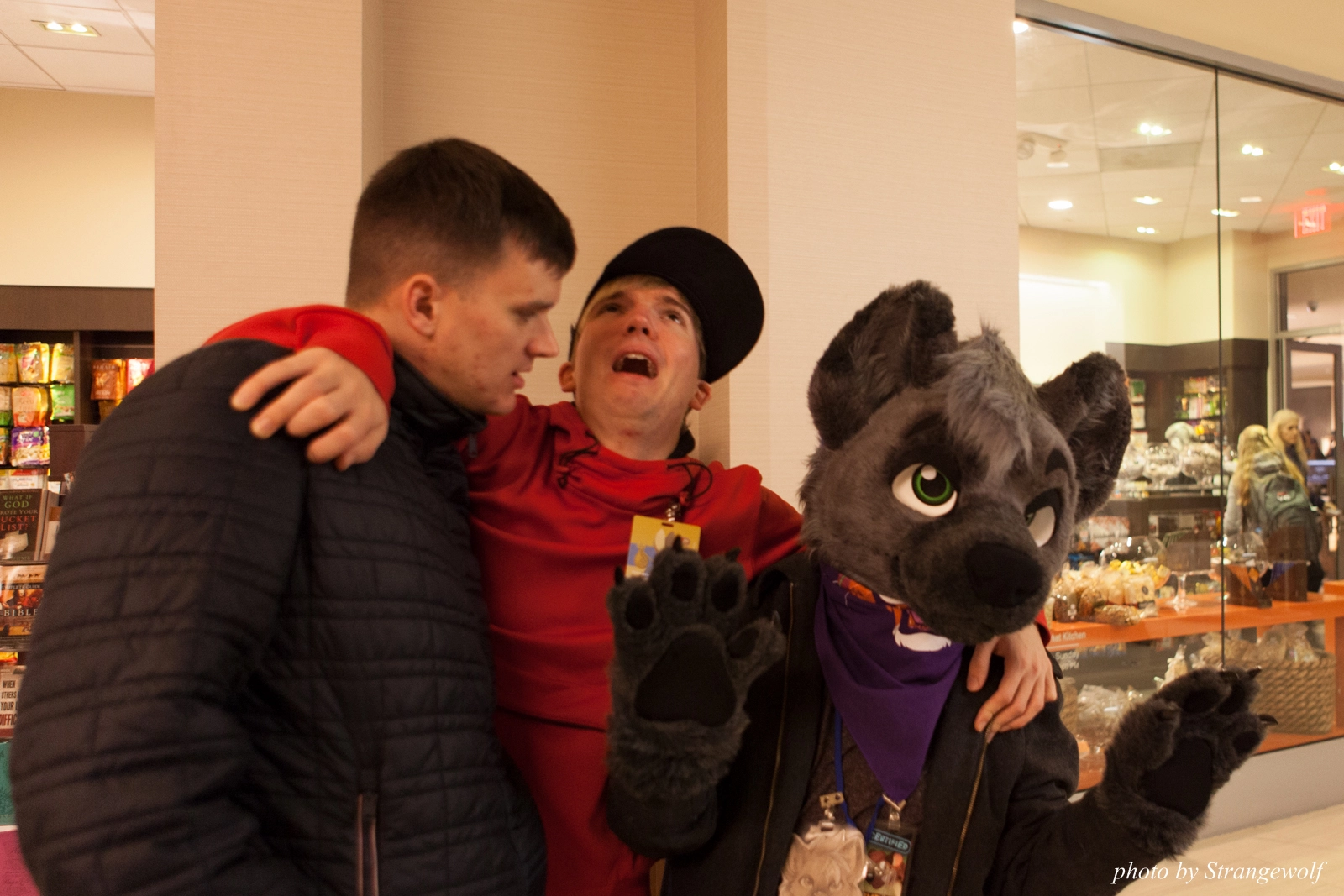 full image IMG_1274-lr16t.jpg