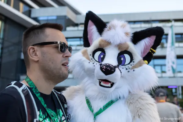 1R3A9341-lr19t.jpg of EF/EF29/