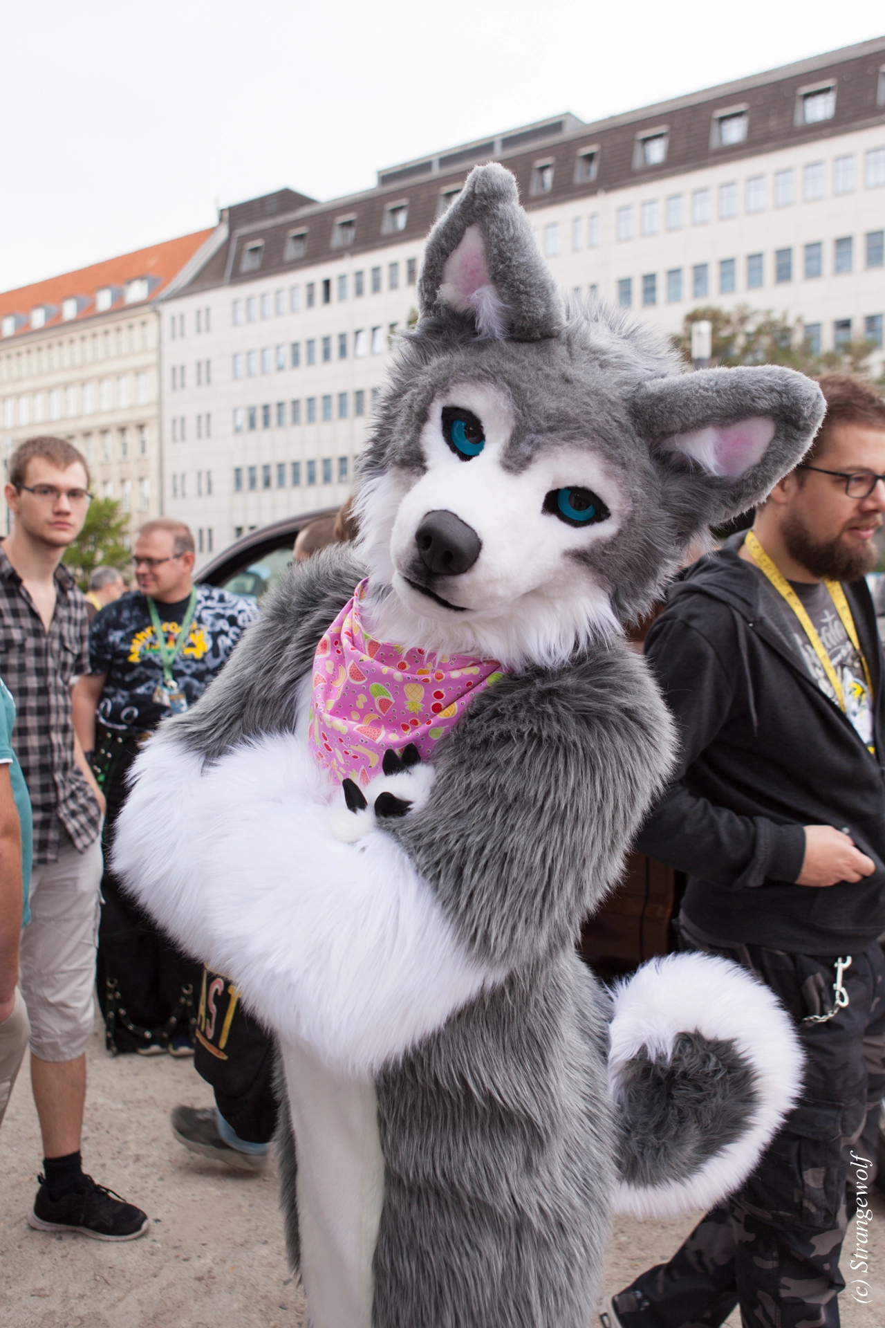 full image IMG_5309-lr19t.jpg