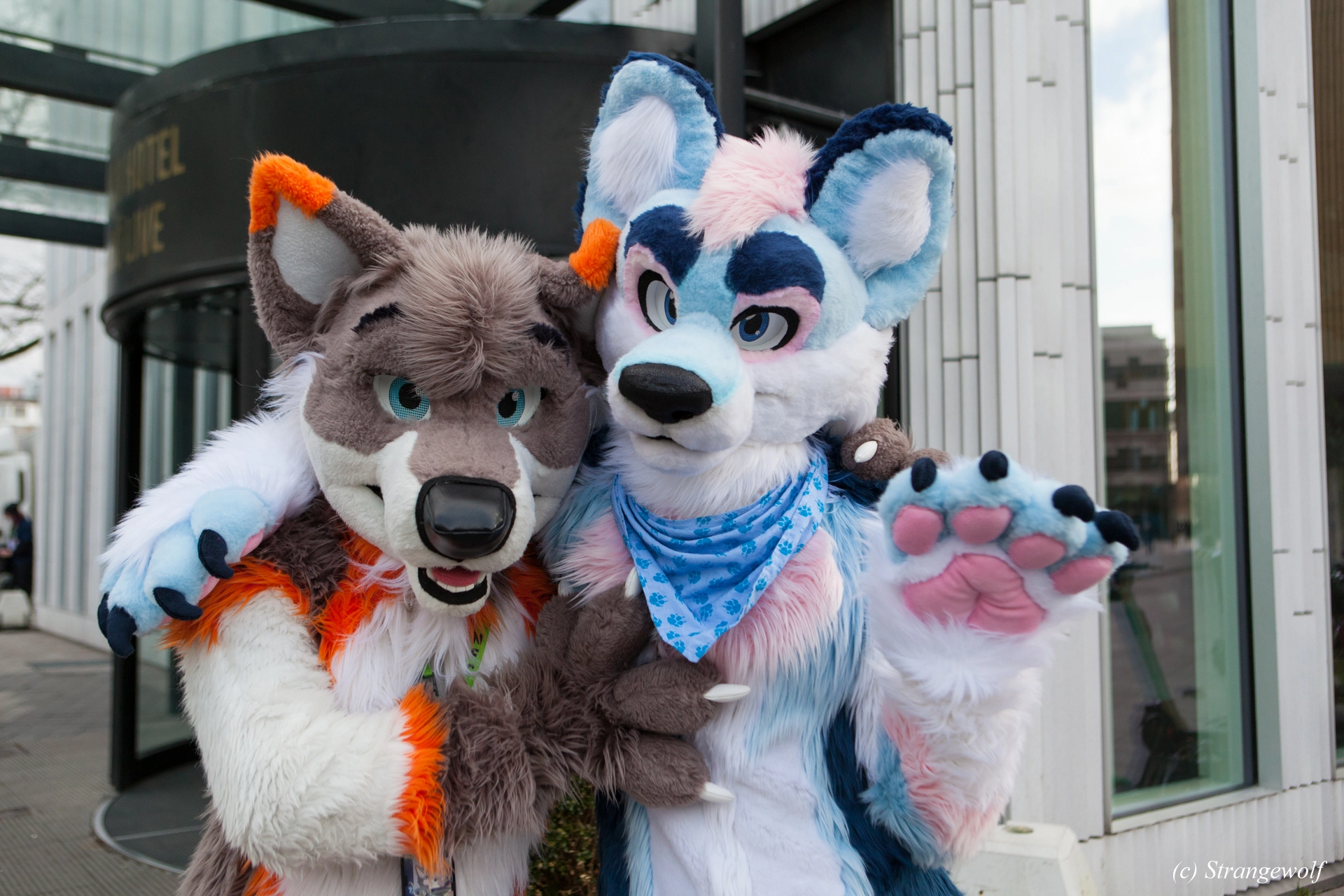 full image IMG_8401-lr19t.jpg