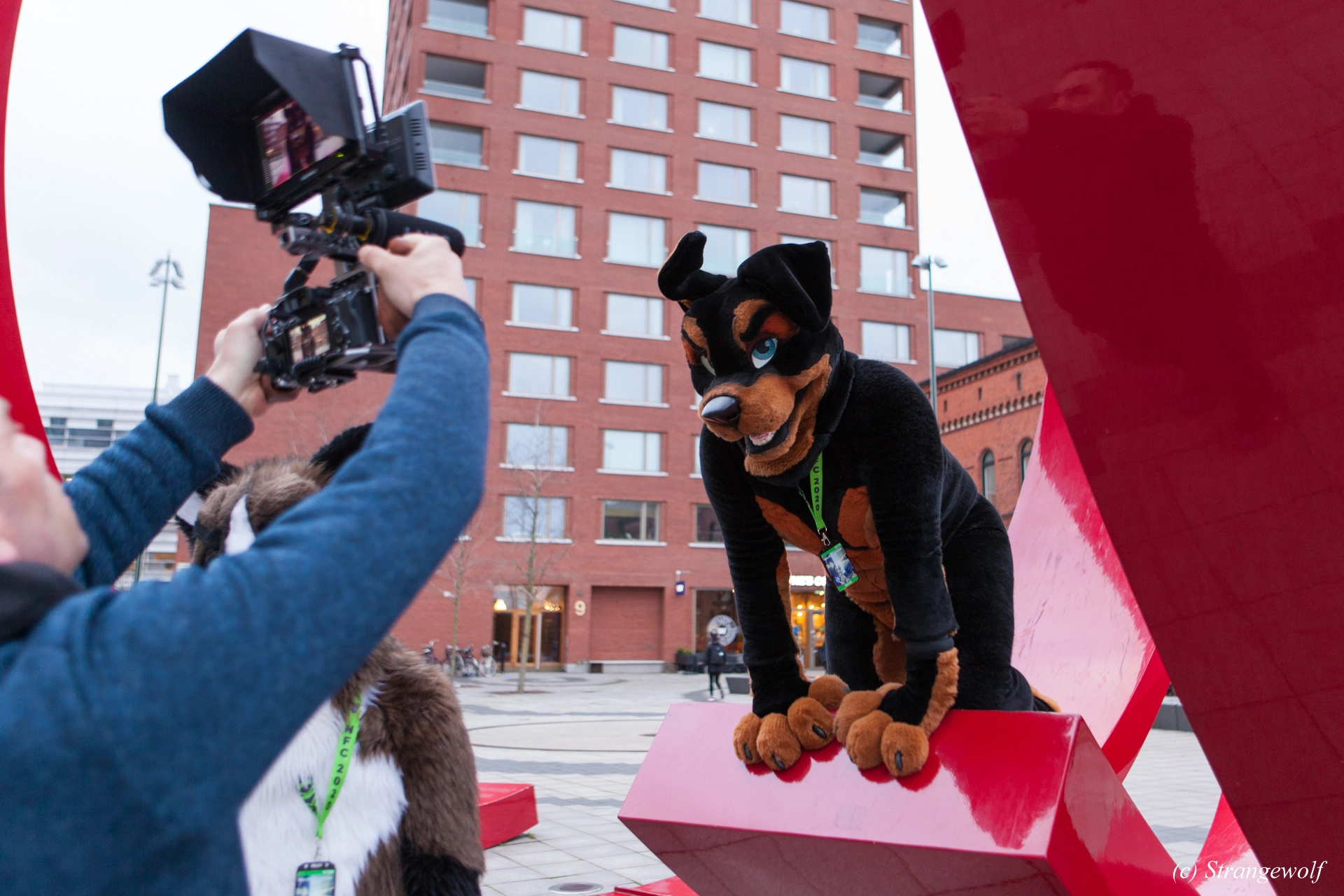 full image IMG_8580-lr19t.jpg