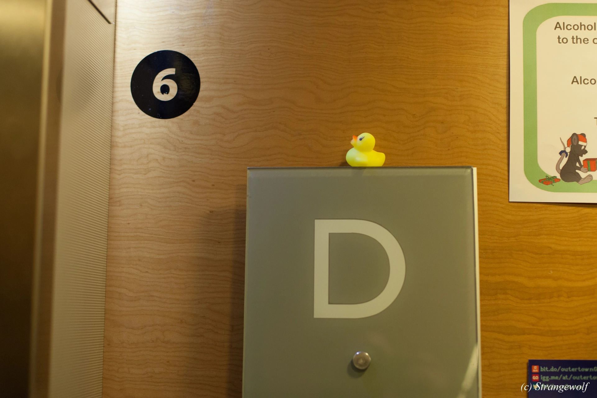 full image IMG_9069-lr19t.jpg