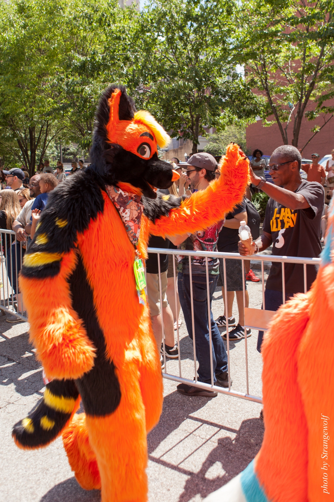 full image IMG_4559-lr19t.jpg