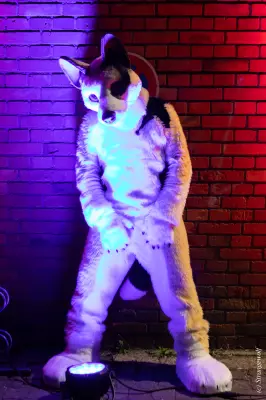 1R3A2648-lr19t.jpg of Furstrike/Furstrike 2022/