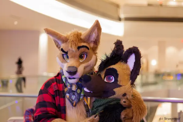 IMG_2019-lr19t.jpg of FWA/FWA2018/