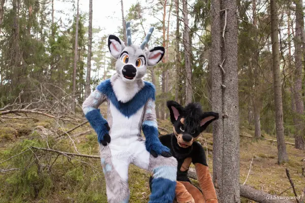 IMG_8550-lr19t.jpg of NFC/NFC2019/Shoot-Strife_Carlito/