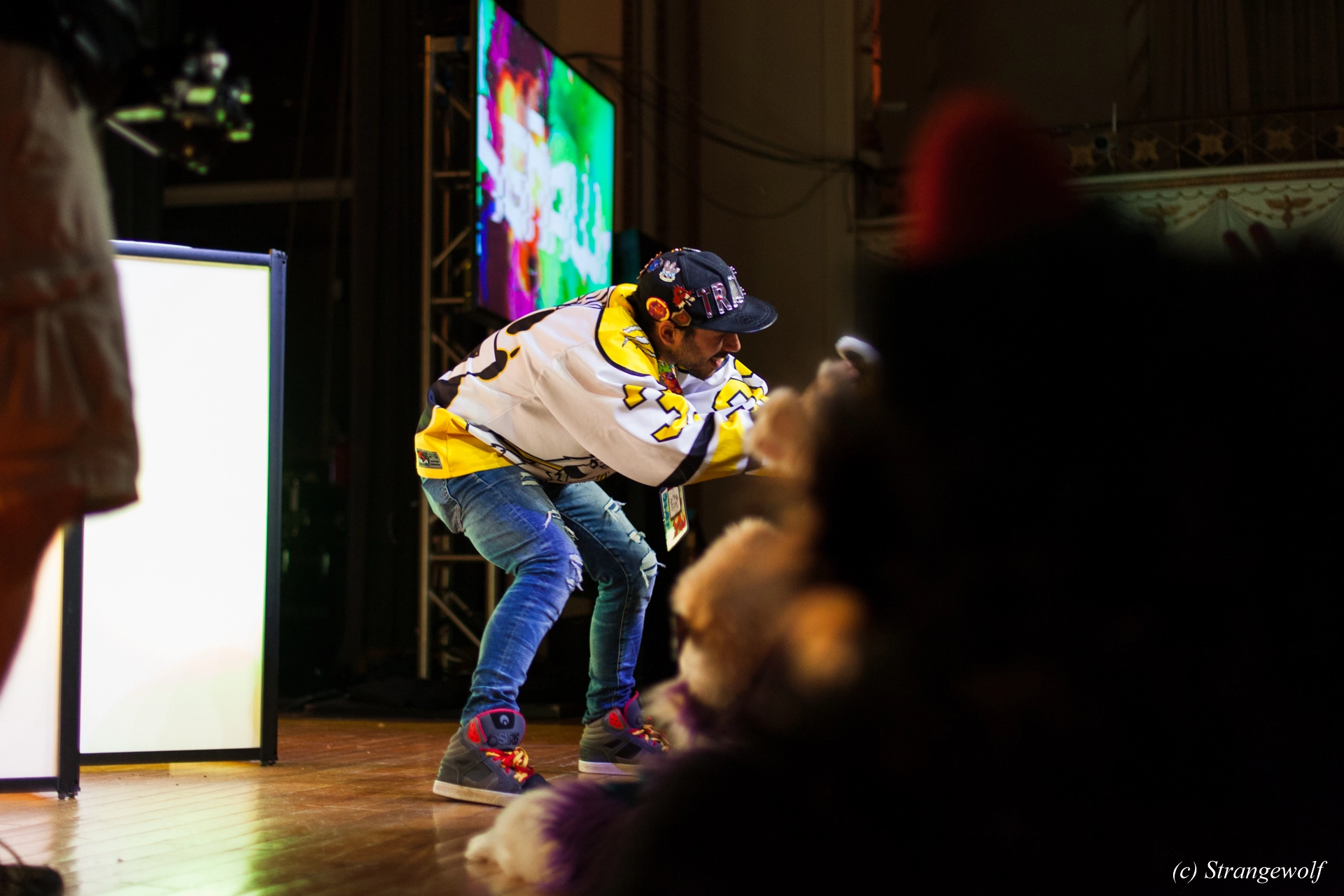 full image IMG_2995-lr19t.jpg