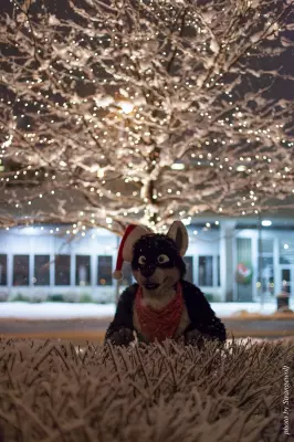 IMG_0839-lr16t.jpg of MFF/MFF2016/
