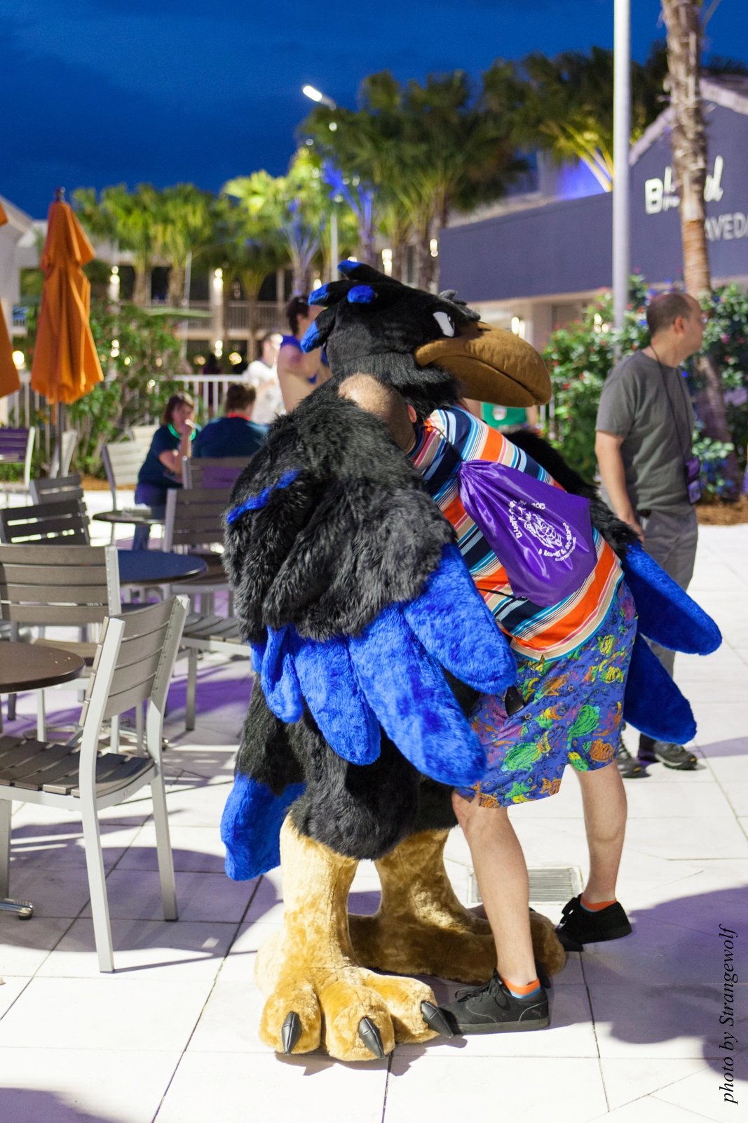 full image IMG_8489-lr16t.jpg