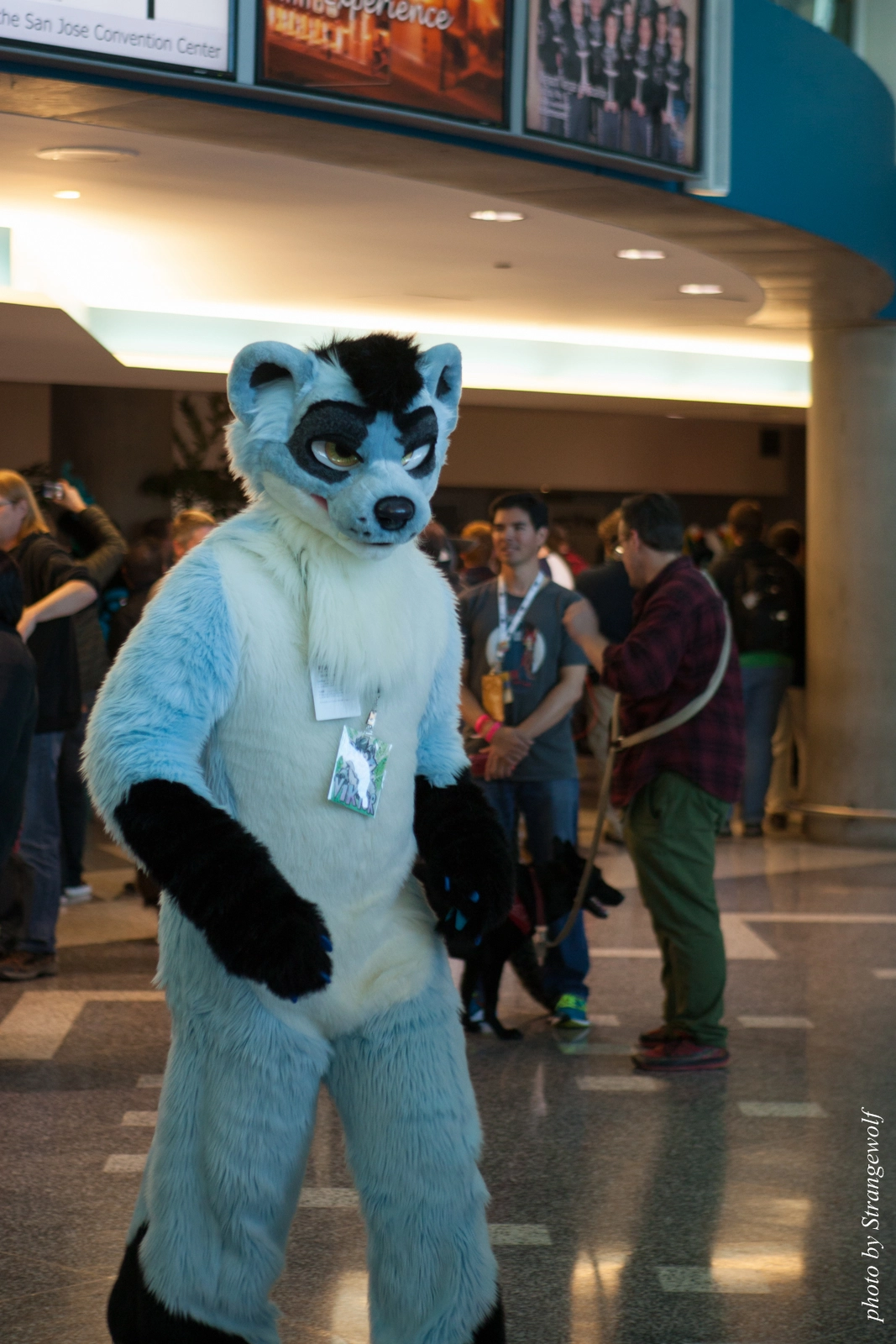 full image IMG_1072-lr16t.jpg