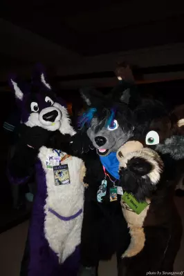 IMG_0817-lr.jpg of MFF/MFF2013/